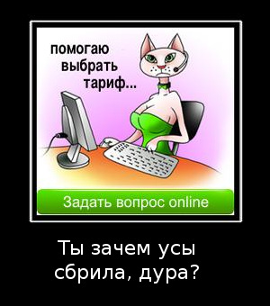 cat-without-mustache